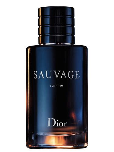 new dior sauvage parfum 2019the bay|sauvage Dior price check.